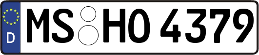 MS-HO4379