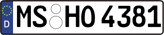 MS-HO4381