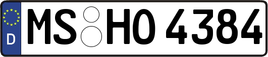 MS-HO4384
