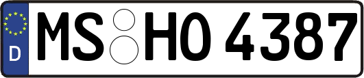 MS-HO4387