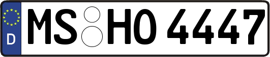 MS-HO4447