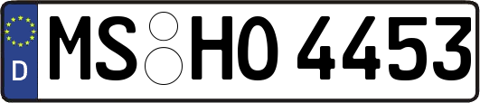 MS-HO4453