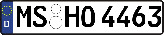 MS-HO4463