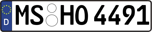 MS-HO4491