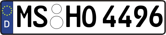MS-HO4496