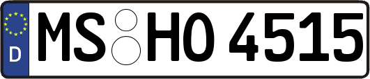 MS-HO4515