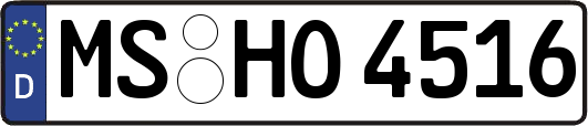 MS-HO4516
