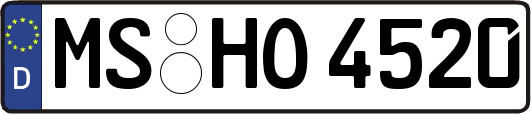 MS-HO4520