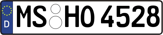MS-HO4528