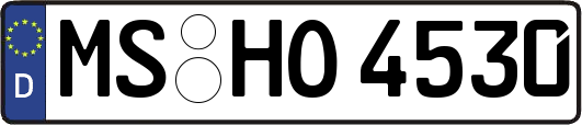 MS-HO4530