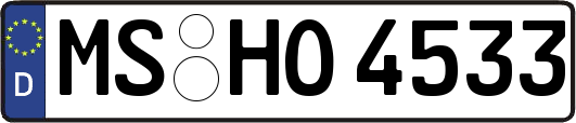 MS-HO4533