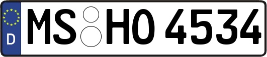 MS-HO4534