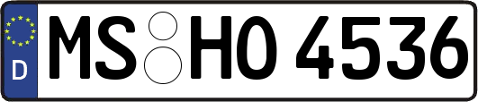 MS-HO4536