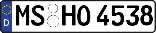 MS-HO4538