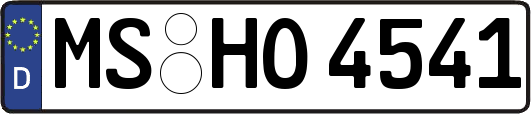 MS-HO4541