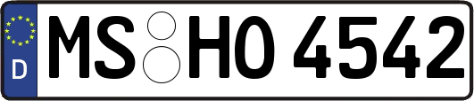 MS-HO4542