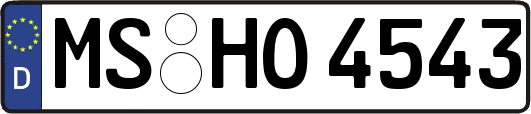 MS-HO4543