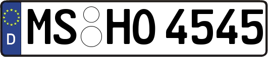 MS-HO4545
