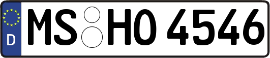 MS-HO4546