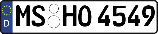 MS-HO4549