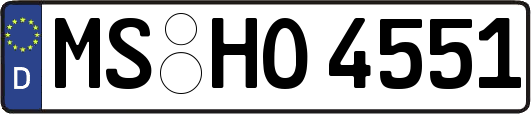 MS-HO4551