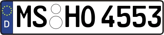 MS-HO4553