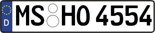 MS-HO4554
