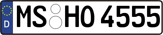 MS-HO4555