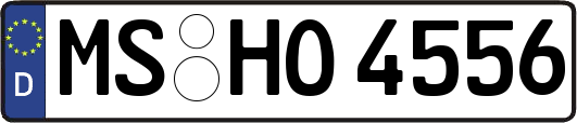 MS-HO4556