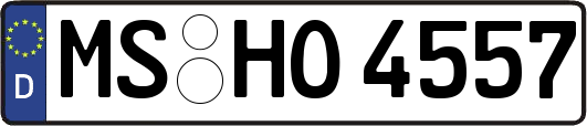 MS-HO4557