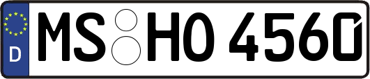 MS-HO4560