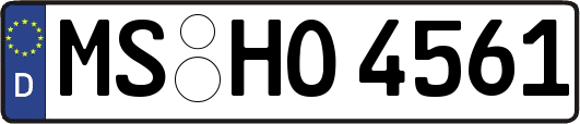 MS-HO4561