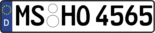 MS-HO4565