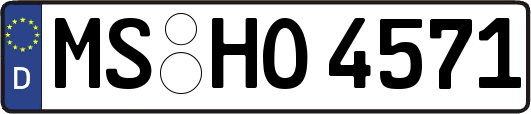 MS-HO4571