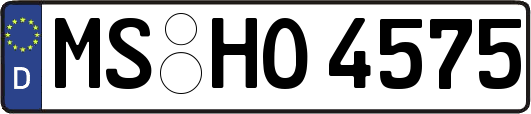 MS-HO4575