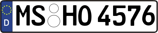 MS-HO4576