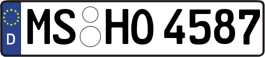MS-HO4587