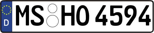 MS-HO4594