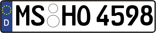 MS-HO4598