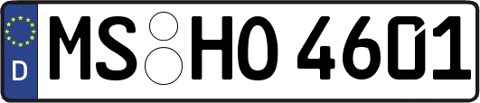 MS-HO4601