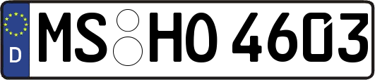 MS-HO4603