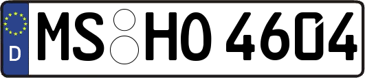 MS-HO4604