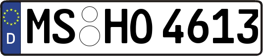 MS-HO4613