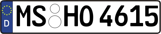 MS-HO4615