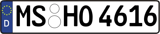 MS-HO4616