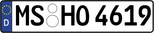 MS-HO4619
