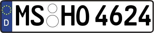 MS-HO4624