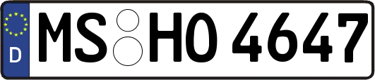 MS-HO4647