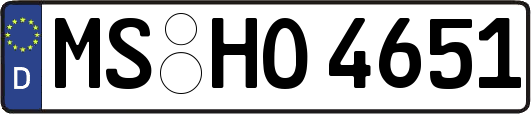 MS-HO4651