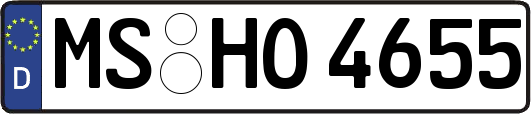 MS-HO4655